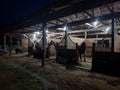 AEG Facility / Stable Member Membership