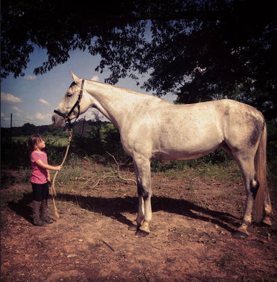 Springstone Equestrian
